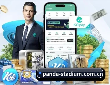 熊猫球员数据 APP 深度功能
