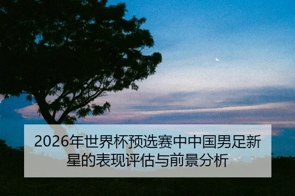nian-shi-jie-bei-yu-xuan-sai-zhong-zhong-guo-nan-zu-xin-xing-de-biao-xian-ping-gu-yu-qian-jing-fen-xi-2-484.jpg